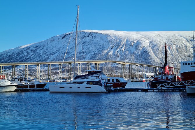 Arctic Fjordcruise & Safari in Tromso With Luxury Catamaran - Tour Capacity and Confirmation