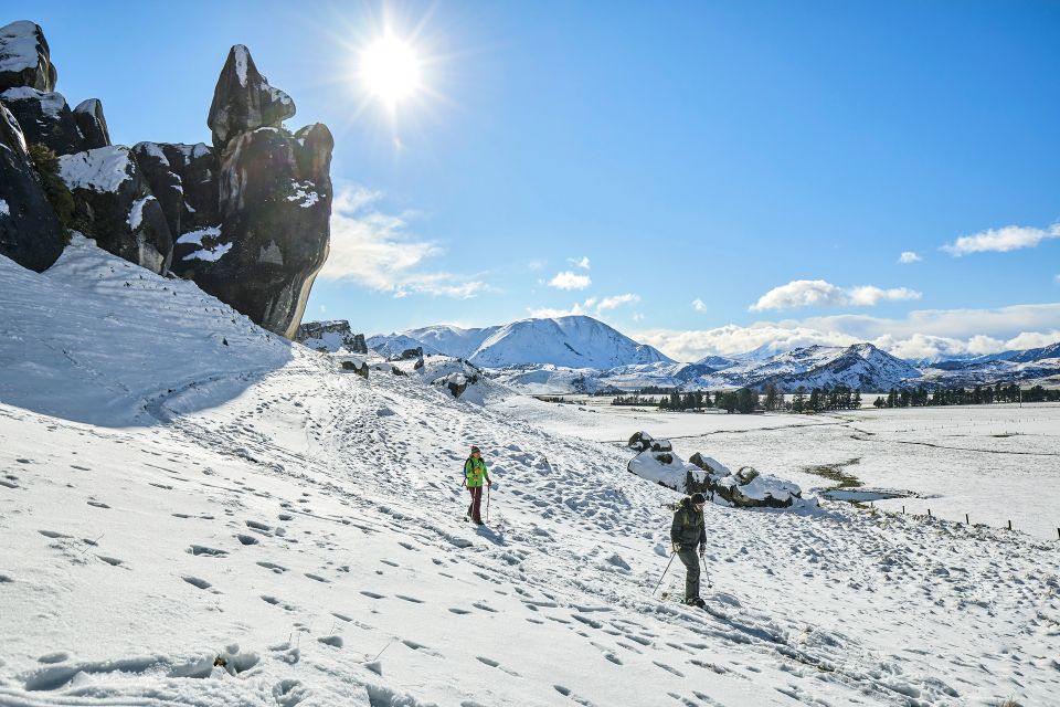 Arthurs Pass: TranzAlpine Train and Castle Hill Day Tour - Customer Reviews