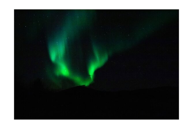 Aurora Borealis Tour Kiruna - Abisko With Local Street Food - Reviews and Testimonials