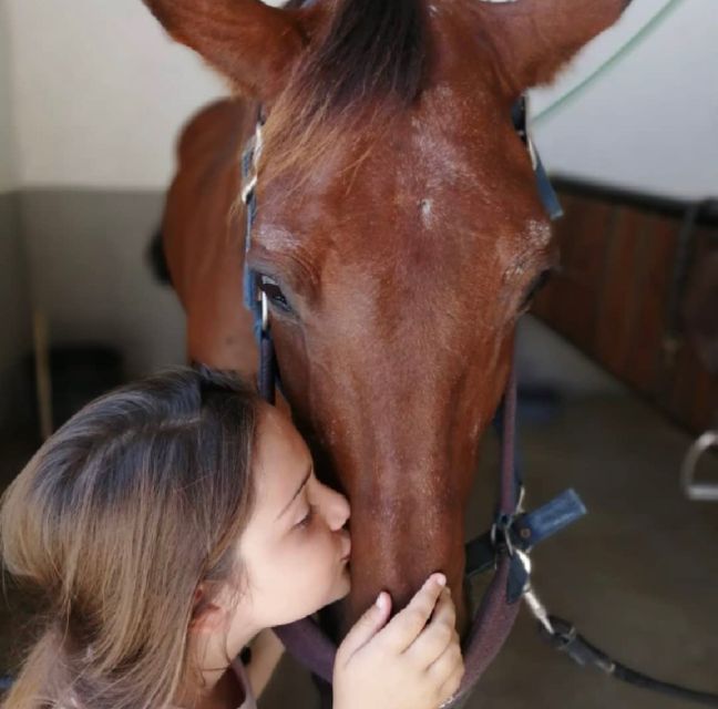 Aveiro: Horseback Riding at a Pedagogical Farm - Important Participant Information