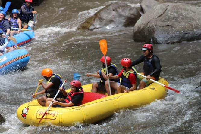 Ayung River Rafting All Inclusive Ticket - Pricing Details