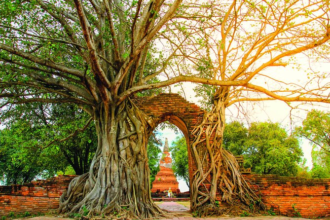 Ayutthaya Sunset Boat & UNESCO Temples: Multi-Language Private Tour From Bangkok - Stunning Sunset Boat Ride