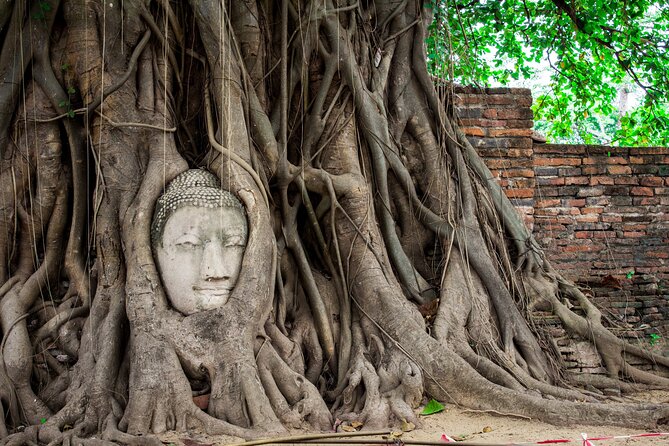 Ayutthaya Sunset or Sunshine Tour With Heritage 100'S Years Boat - Exploring Ayutthayas History