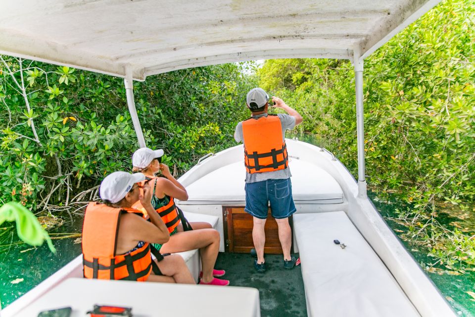 Bacalar: 3 Hour Boat Trip With Swimming & Drinks - Important Considerations