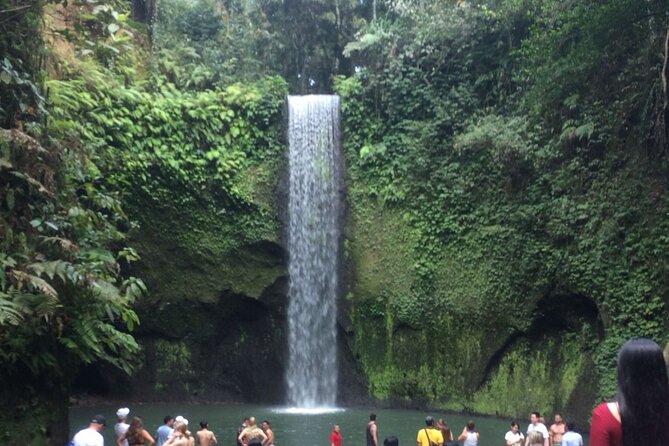 Bali Best Waterfall - Pricing Information