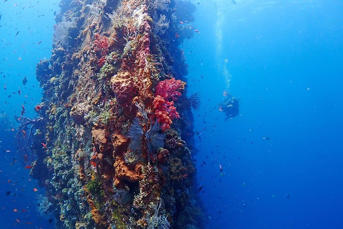 Bali Diving for Beginners: Tulamben Liberty Wreck - Refund and Cancellation Policy