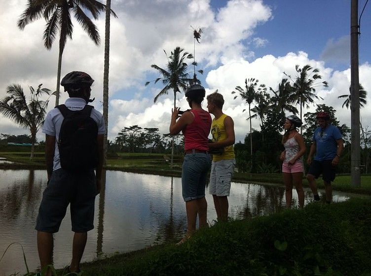 Bali Downhill Cultural Cycling Tour - Organic Plantation