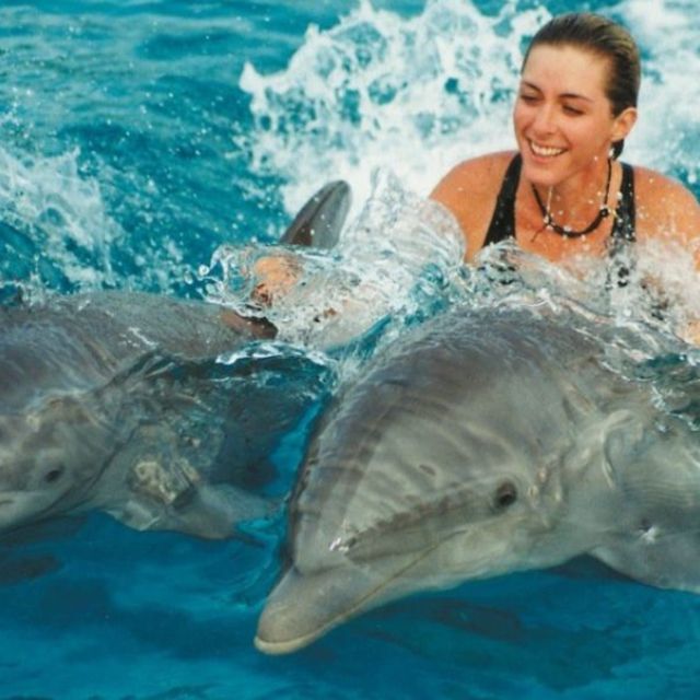 Bali : Full Day Bali Dolphin Tour - Inclusive Tour Package