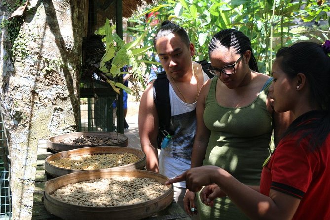 Bali Private Tour Ubud and Kintamani Including Lunch and Waterfall - Cancellation Policy