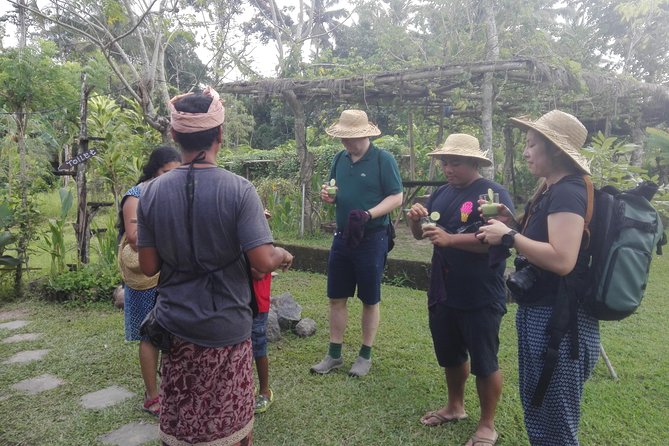 Balinese Cooking Class at Organic Farm - Location and Accessibility