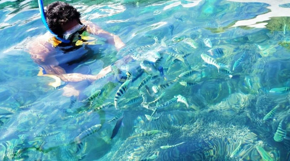 Bali:Snorkeling at Blue Lagoon With Lunch & Transfer - Customer Reviews