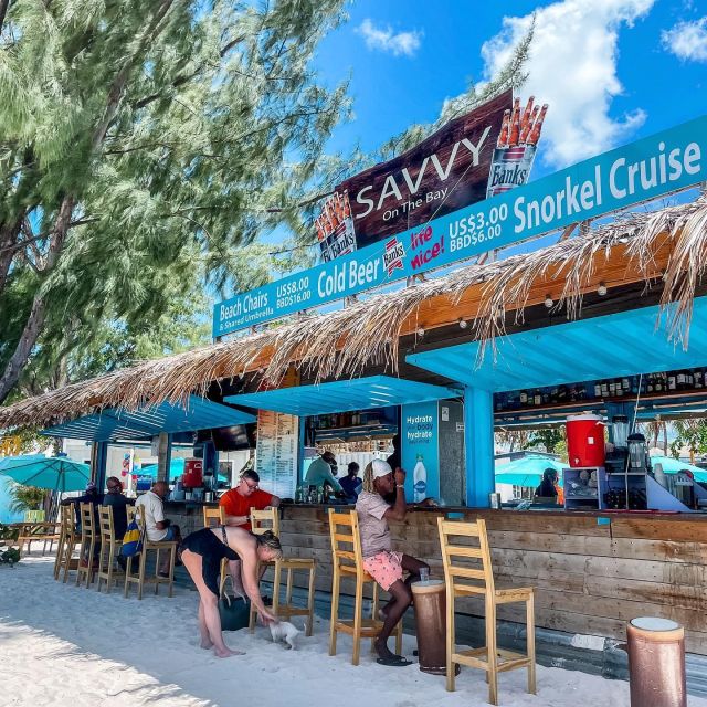 Beach Shuttle With Use of Free Beach Chair & Umbrella - Marine Life and Shipwrecks