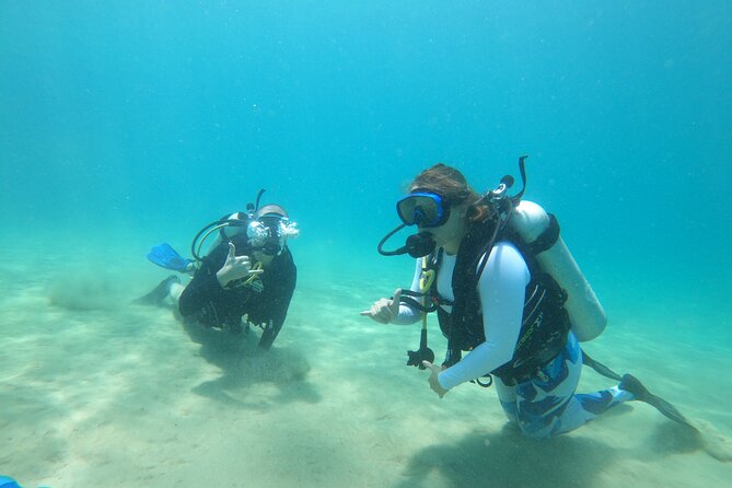 Beginner Scuba Diving Guided Tour - No Experience Required - Customer Reviews