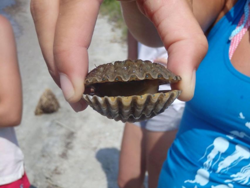 Berlin: Assateague Island Wildlife Discovery Kayak Tour - Kayak Tour Inclusions