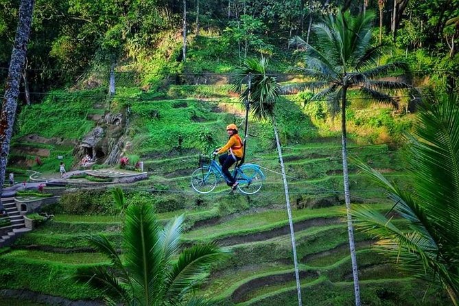 Best of Ubud - Full Day Tour + FREE WI-FI - Highlights of Ubud