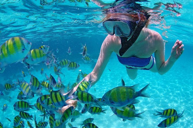 Best Snorkeling Trip at Blue Lagoon Bali - Transportation Options Provided