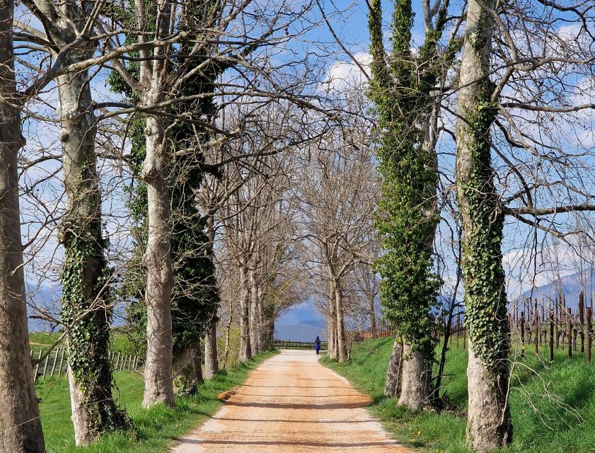 Bike and Coffee on Conegliano and Surrounding Hills - Bike Tour