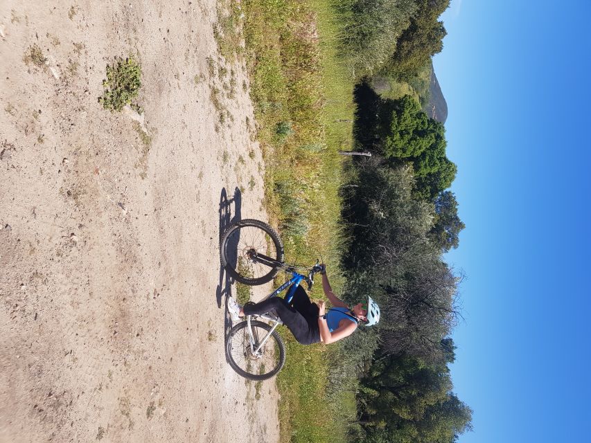 Bike and Wine Amazing Adventure in Valle De Guadalupe - Biking and Sightseeing Activities