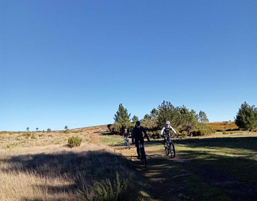 BIKE TOUR - BOTANICAL LEVELS OF MADEIRA, TRAIL EXPERIENCE - Tour Inclusions