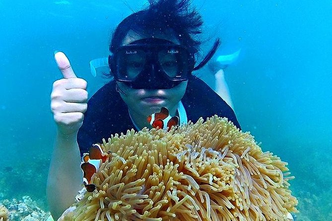 Bintan Snorkeling Tour - Additional Information