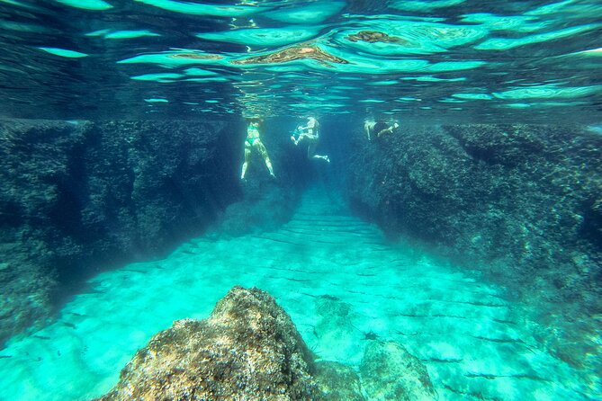 Blue Cave, Green Cave & Lopud Beach Speedboat Tour From Dubrovnik - Additional Information