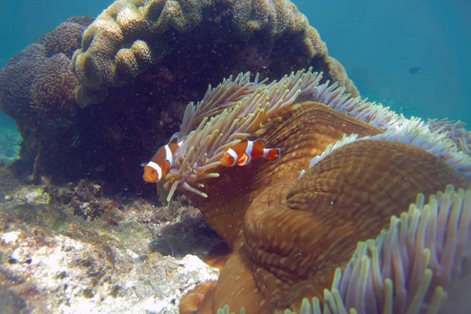Blue Lagoon Bali Snorkeling With Optional Sightseeing Tour - Weather Conditions