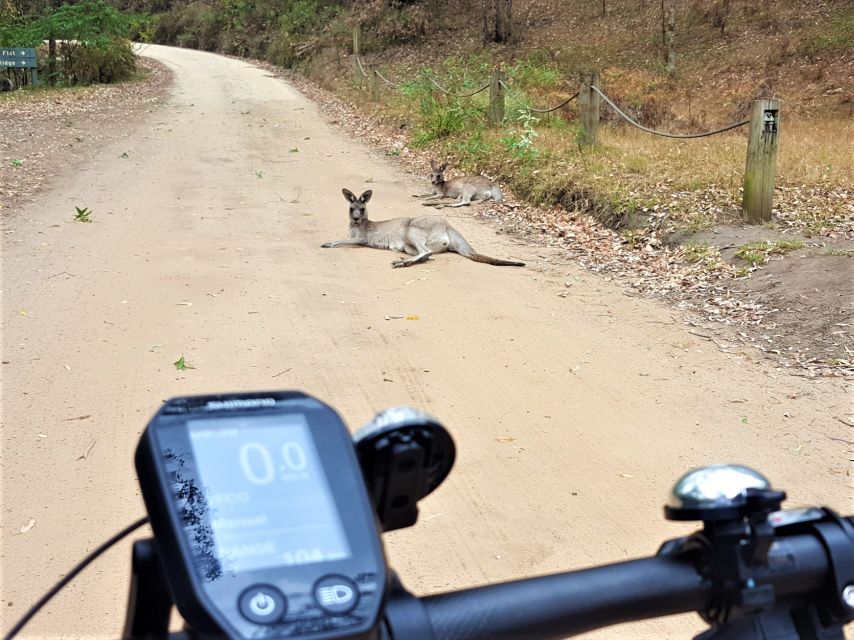 Blue Mountains: Guided Mountain E-Bike Tour, Blue Labyrinth - Meeting Point