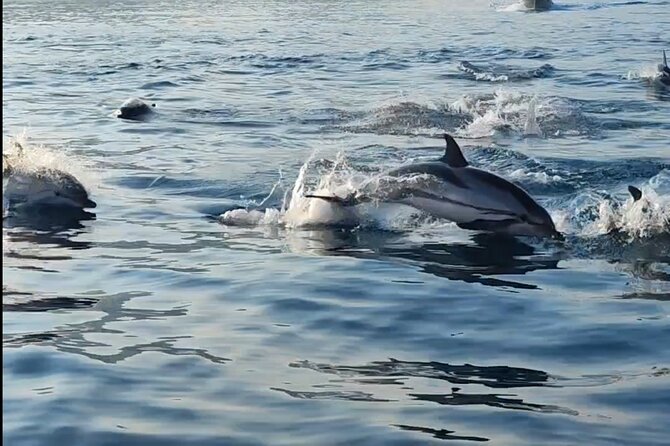 Boat Excursions Taormina Giardini Naxos Isola Bella - Group Size Limitations