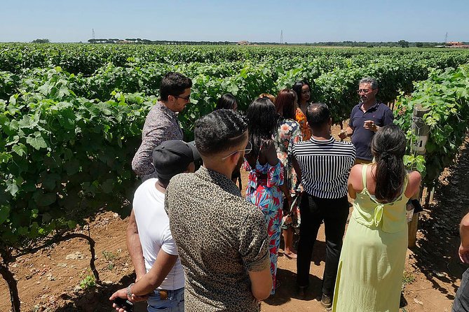 Bolgheri: Classic Wine Tasting With Winery Tour - Cancellation and Refund Policy