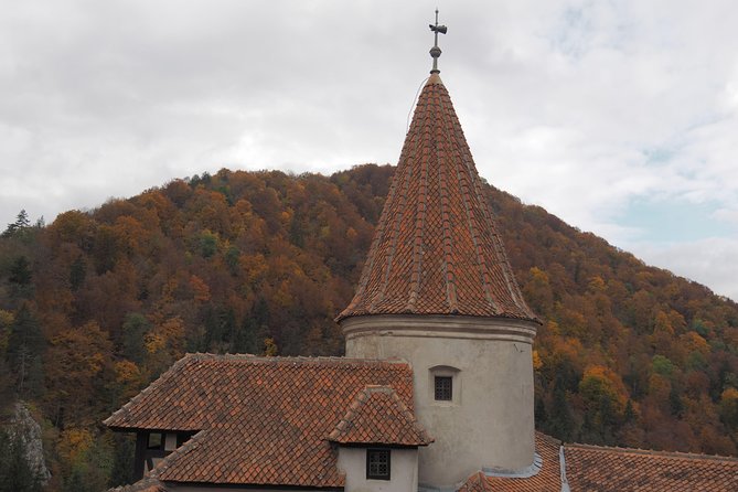 Bran Castle and Rasnov Fortress Tour From Brasov With Entrance Fees Included - Optional Peles Castle Visit - Architectural Highlights