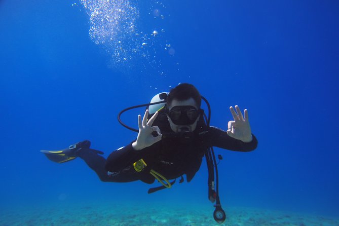 BRELA Bikini Dive *Try SCUBA DIVING* - Diving for Beginners