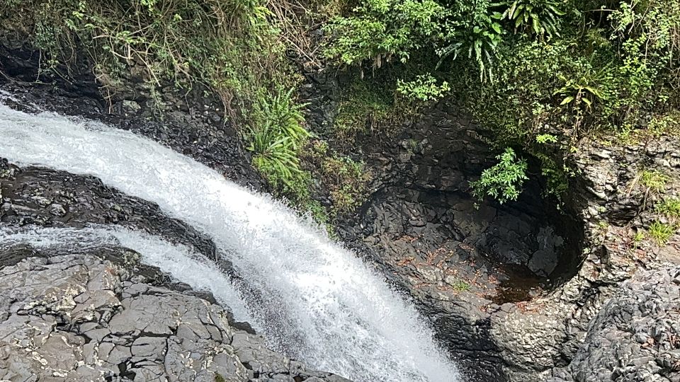 Brisbane: Springbrook and Mt Tamborine Rainforest Day Tour - Important Directions