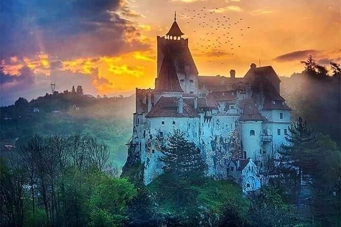 Brown Bear Sanctuary, Rasnov Fortress and Bran Castle Tour From Brasov - Important Information