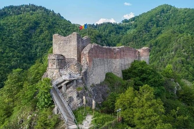 Brown Bears Safari Near Vlad the Impaler Castle and Top Gear Road - Panoramic Viewpoints and Landmarks