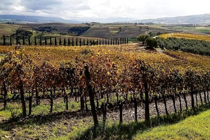 Brunello Wine Tour and Val D'orcia Landscape - Additional Information