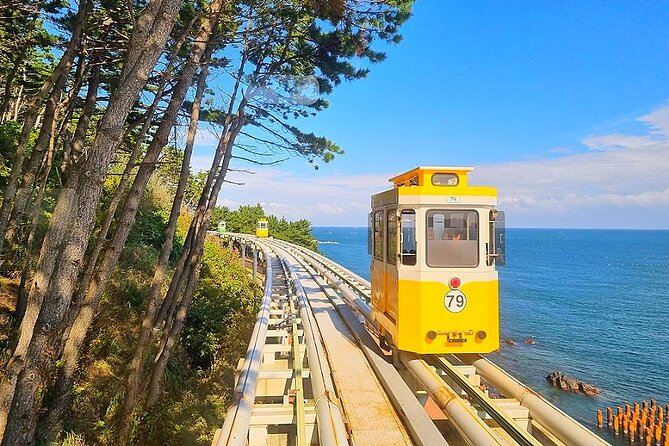 Busan Essential Private Tour With Heaedong Yonggungsa and Gamcheon Village - Pricing Details