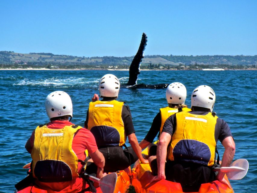 Byron Bay: Sea Kayak Tour With Dolphins and Turtles - Customer Reviews