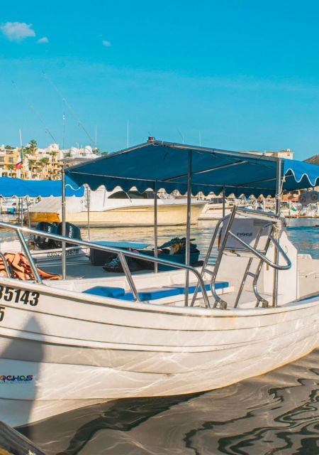 Cabo San Lucas: Tour to The Arch + Descent to Private Beach - Frequently Asked Questions