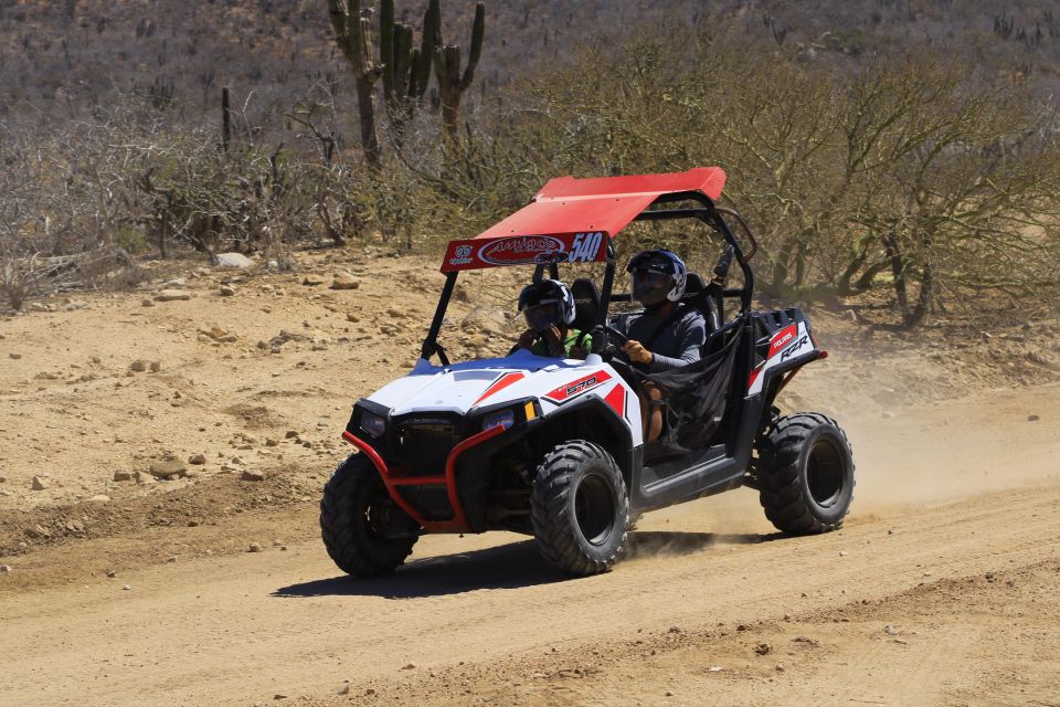 Cabo San Lucas: UTV Beach and Desert Excursion - Restrictions and Considerations