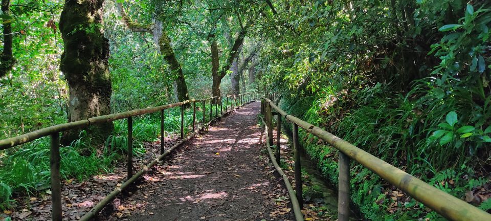 Caldeirão Verde Levada: Roundtrip Transfer & Hike - Recommended Attire