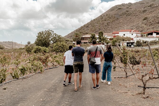 Canarian Wine Experience at Bodega Los Lirios - Views of Bandama Volcano