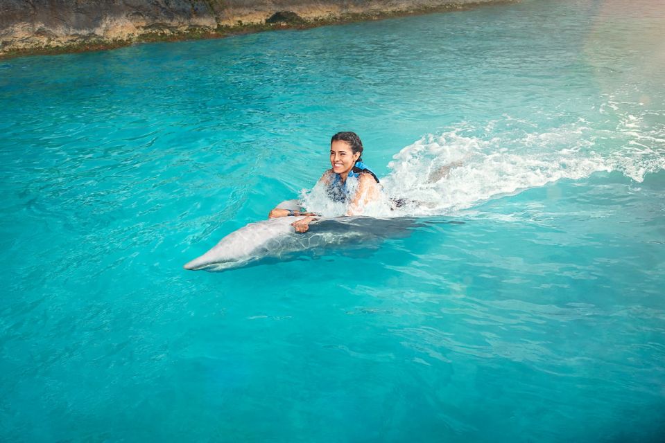 Cancún: Dolphin Swimming Program on Isla Mujeres With Buffet - Round-trip Transportation Details