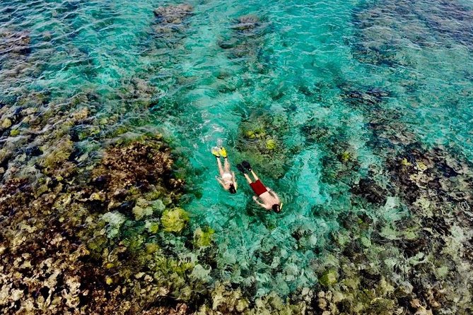 Captain Bob Speed Boat/Snorkeling/Beach Tour + Lunch St Maarten - Cruise Ship Passengers