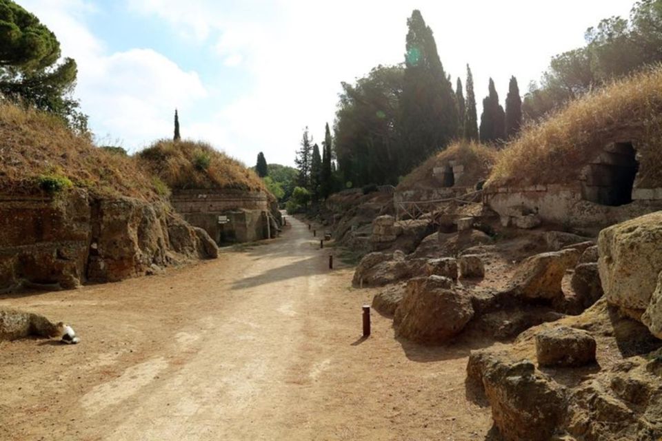 Cerveteri & Tarquinia Private Tour From Rome - Directions