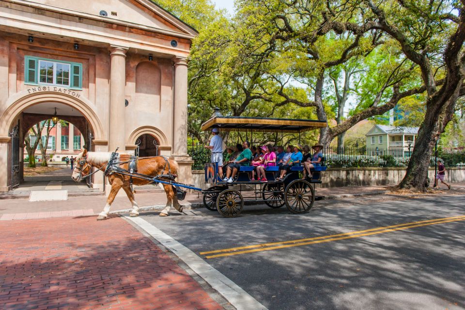 Charleston: 1-Hour Carriage Tour of the Historic District - Meeting Point and Parking