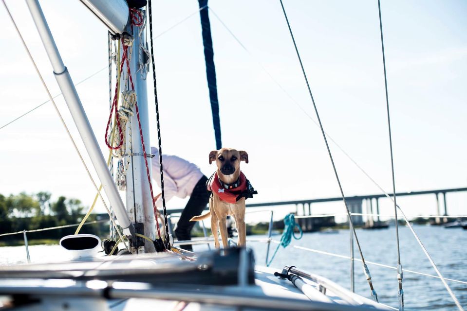 Charleston: Private BYOB Luxury Sailing Cruise - Inclusions