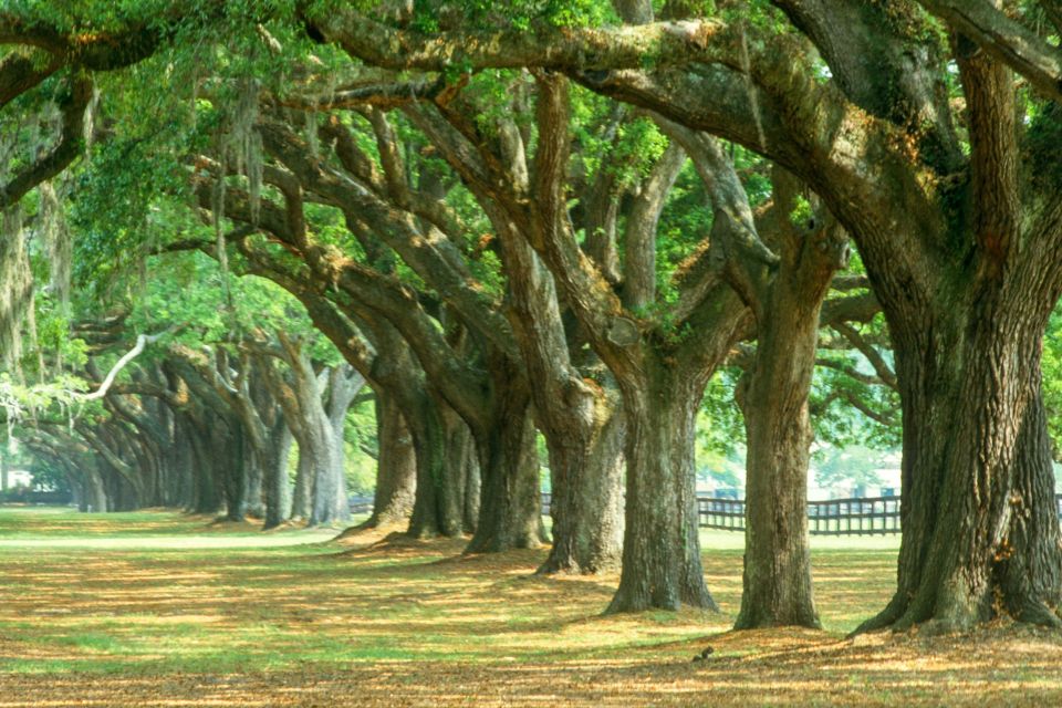 Charleston: Tour Pass With 40+ Attractions - Mobile Pass Features