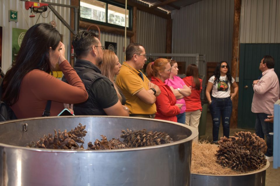 Chautlas Castle, Lavender Farm, and Valquirico Private Tour - Taste Specialty Products