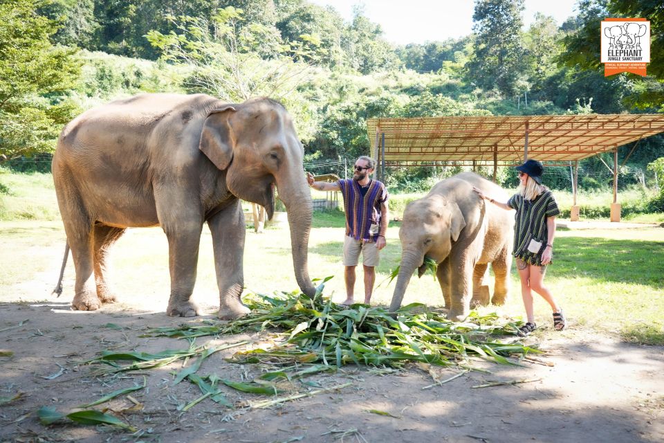 Chiang Mai: Elephant Jungle Sanctuary With Lunch & Transfer - Guided Tour With Elephants