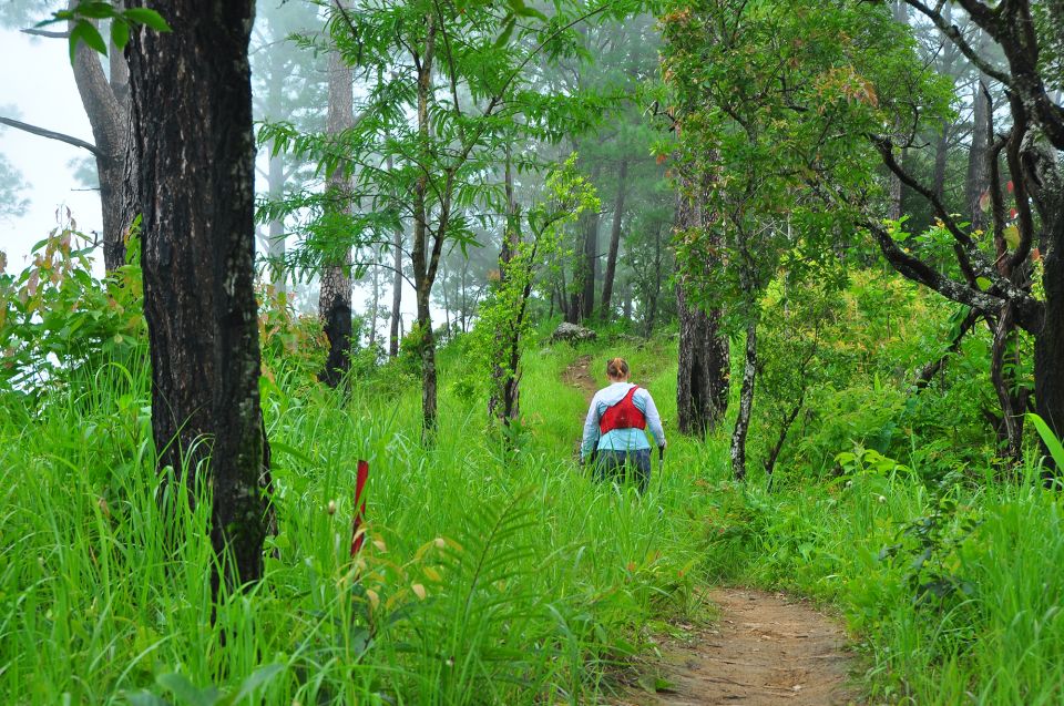 Chiang Mai: Full-Day Hiking Tour by Trailhead - National Park Fees Included